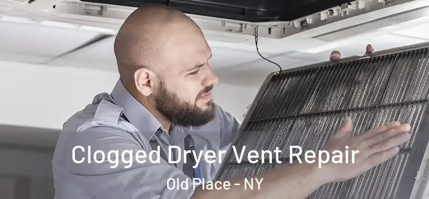  Clogged Dryer Vent Repair Old Place - NY