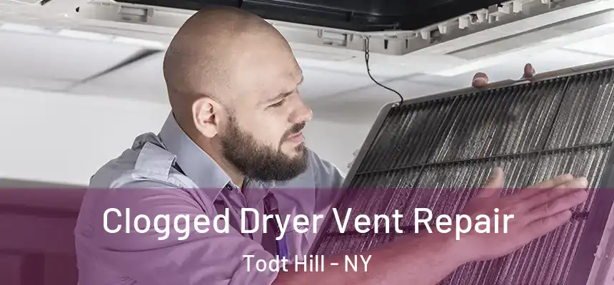 Clogged Dryer Vent Repair Todt Hill - NY