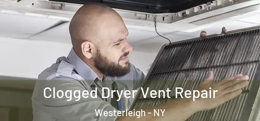  Clogged Dryer Vent Repair Westerleigh - NY