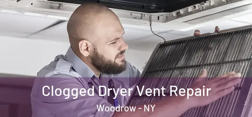  Clogged Dryer Vent Repair Woodrow - NY