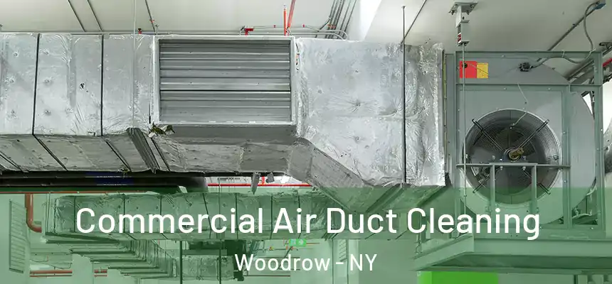 Commercial Air Duct Cleaning Woodrow - NY