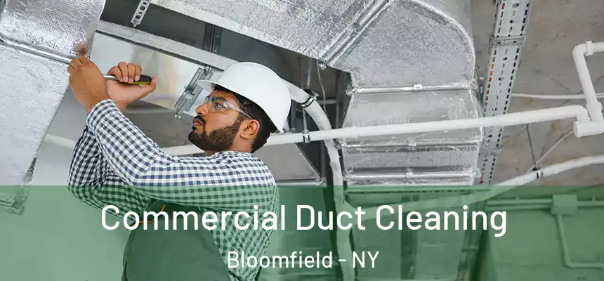  Commercial Duct Cleaning Bloomfield - NY