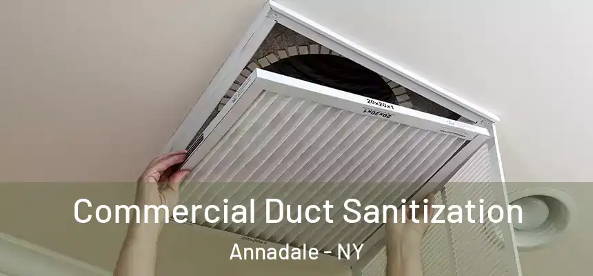Commercial Duct Sanitization Annadale - NY
