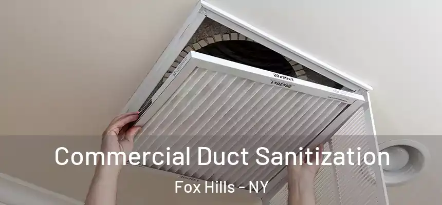 Commercial Duct Sanitization Fox Hills - NY