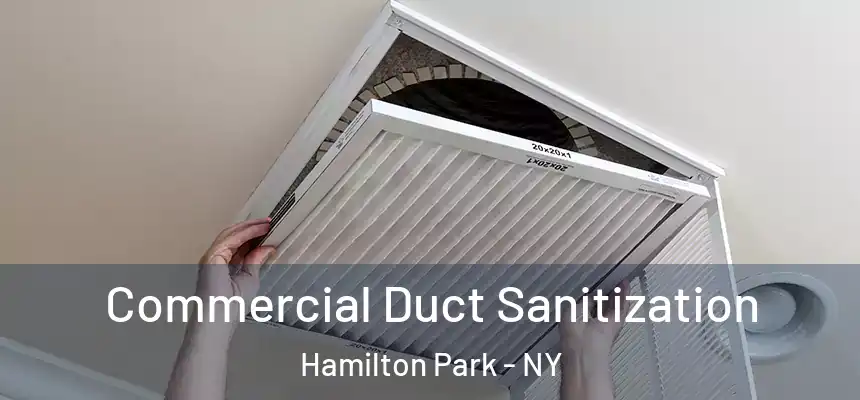  Commercial Duct Sanitization Hamilton Park - NY