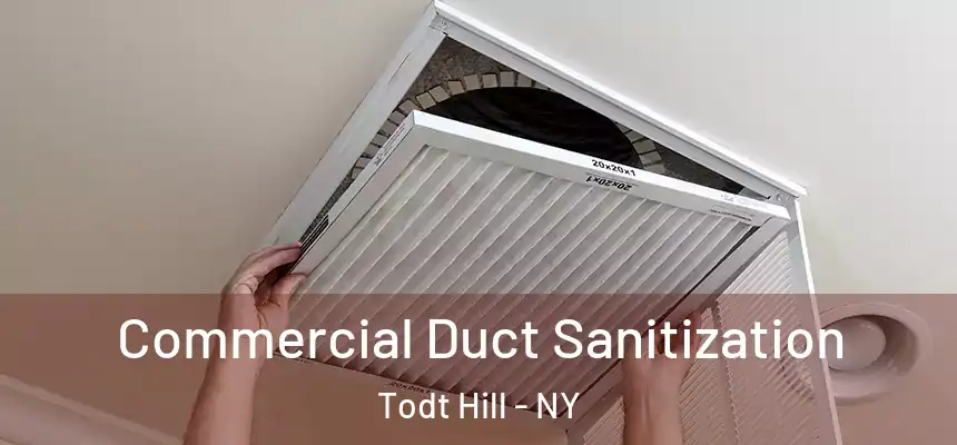Commercial Duct Sanitization Todt Hill - NY