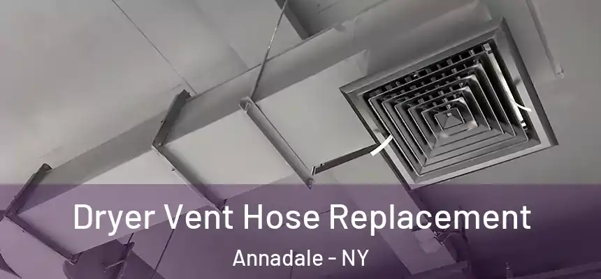 Dryer Vent Hose Replacement Annadale - NY