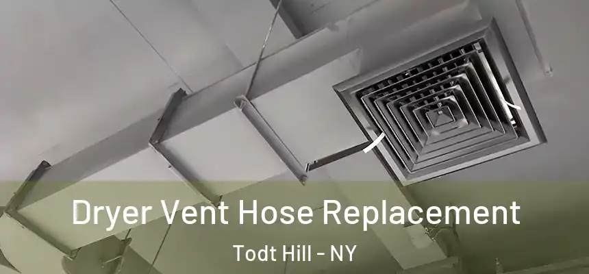 Dryer Vent Hose Replacement Todt Hill - NY