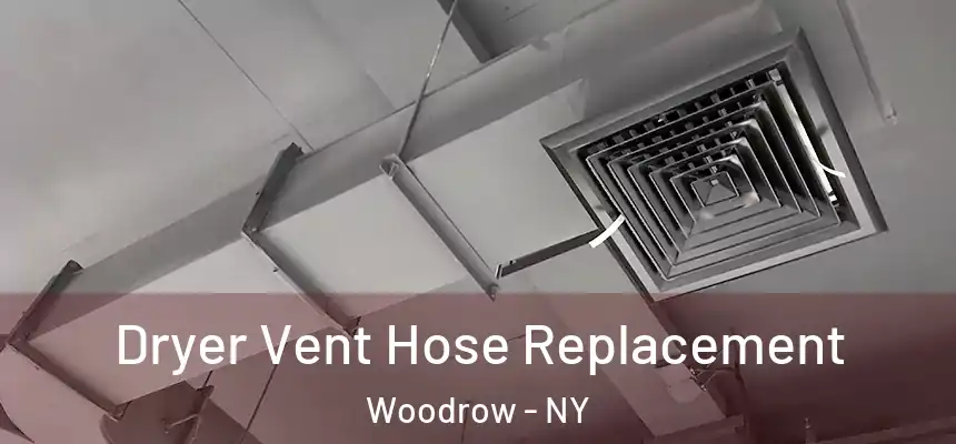  Dryer Vent Hose Replacement Woodrow - NY