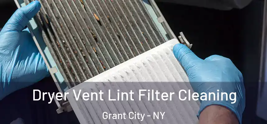 Dryer Vent Lint Filter Cleaning Grant City - NY