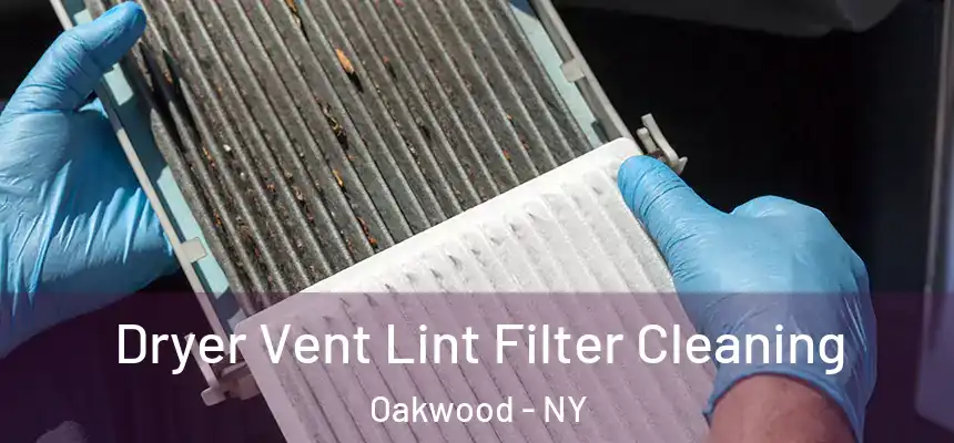 Dryer Vent Lint Filter Cleaning Oakwood - NY