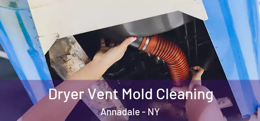 Dryer Vent Mold Cleaning Annadale - NY