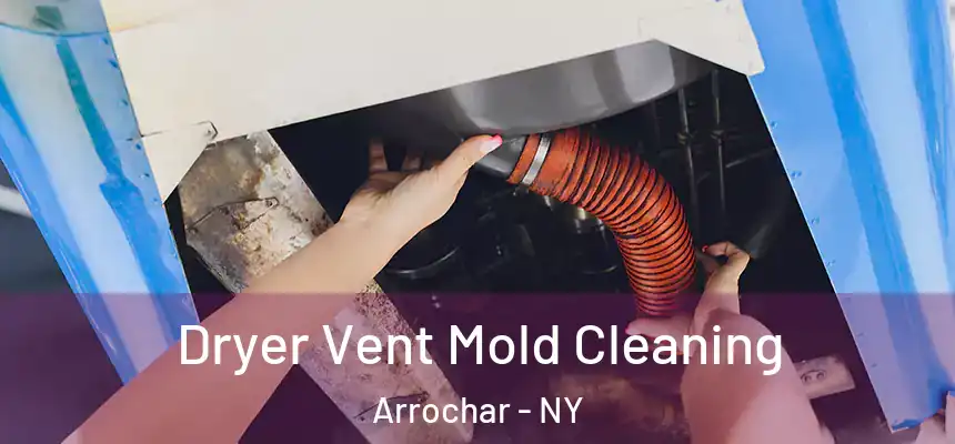  Dryer Vent Mold Cleaning Arrochar - NY