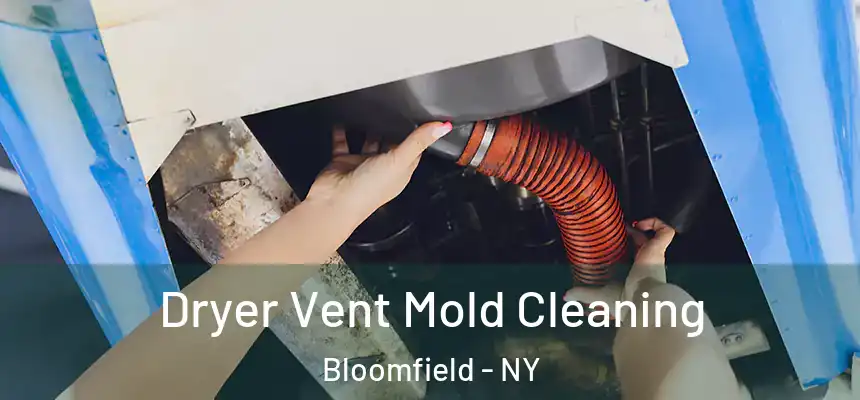 Dryer Vent Mold Cleaning Bloomfield - NY