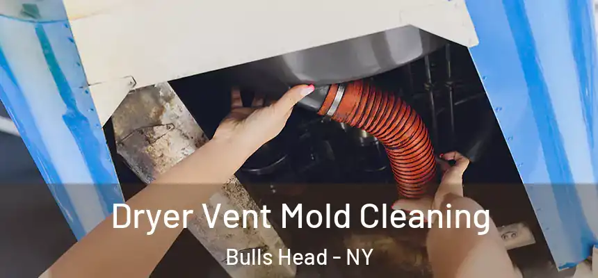 Dryer Vent Mold Cleaning Bulls Head - NY