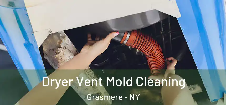 Dryer Vent Mold Cleaning Grasmere - NY
