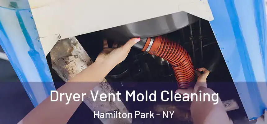 Dryer Vent Mold Cleaning Hamilton Park - NY