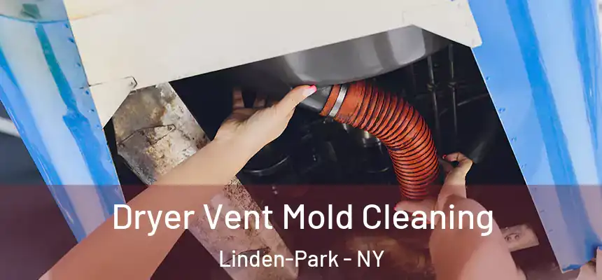 Dryer Vent Mold Cleaning Linden-Park - NY