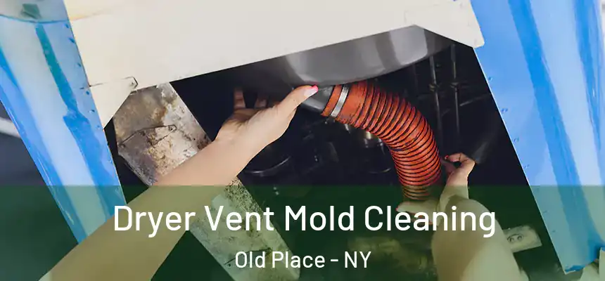 Dryer Vent Mold Cleaning Old Place - NY