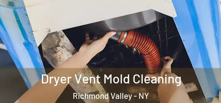 Dryer Vent Mold Cleaning Richmond Valley - NY