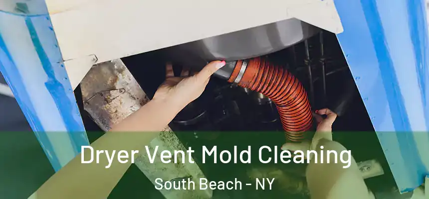 Dryer Vent Mold Cleaning South Beach - NY