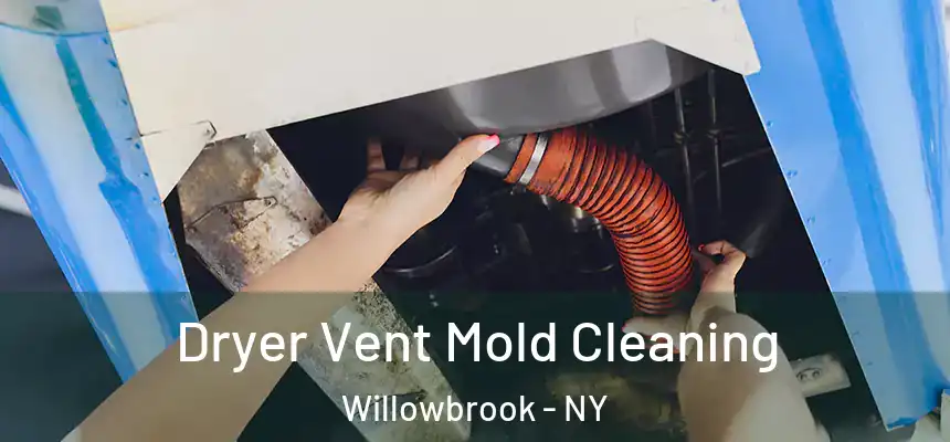  Dryer Vent Mold Cleaning Willowbrook - NY
