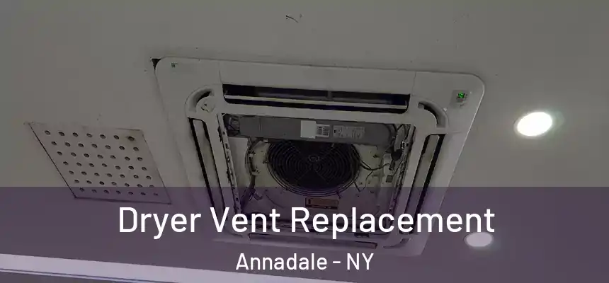 Dryer Vent Replacement Annadale - NY