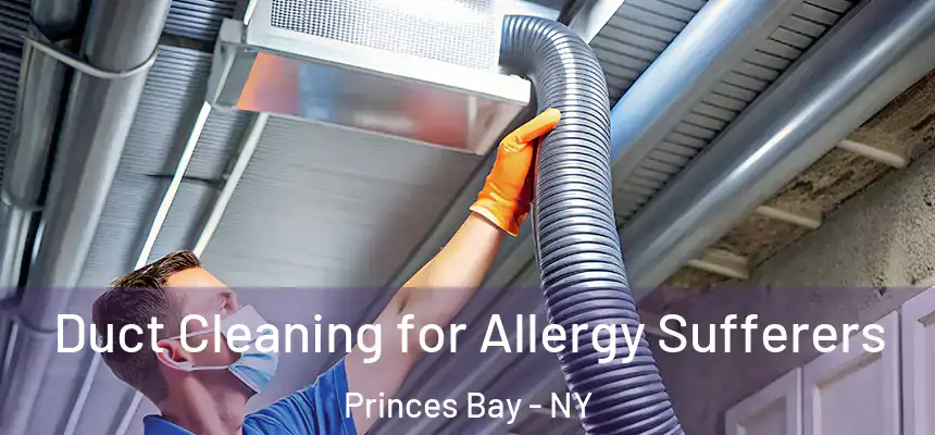 Duct Cleaning for Allergy Sufferers Princes Bay - NY