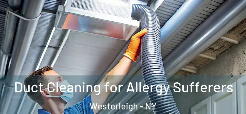 Duct Cleaning for Allergy Sufferers Westerleigh - NY