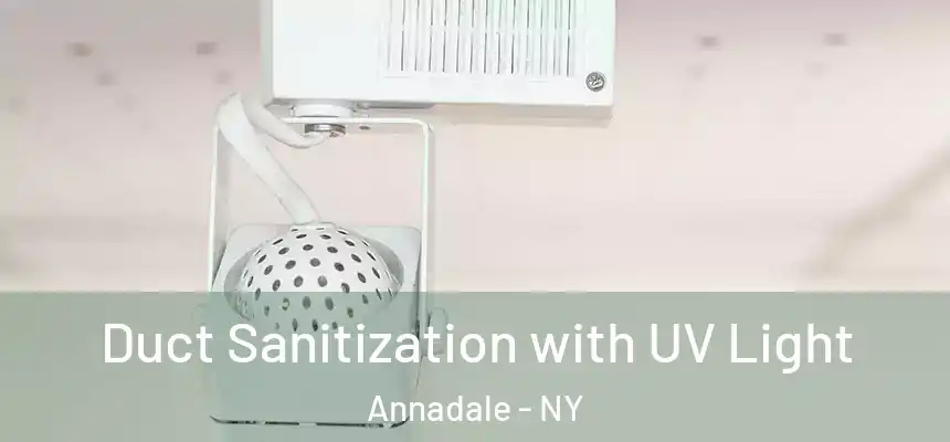Duct Sanitization with UV Light Annadale - NY