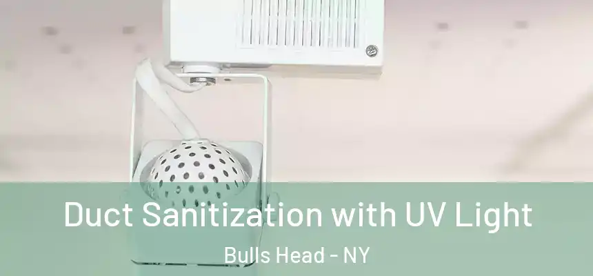 Duct Sanitization with UV Light Bulls Head - NY