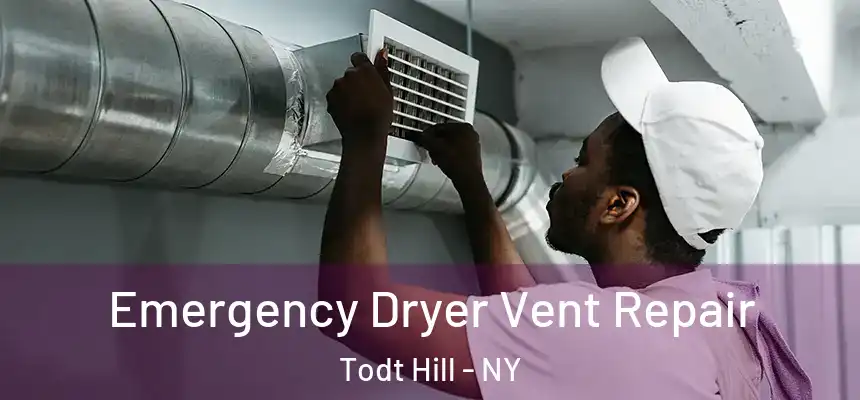 Emergency Dryer Vent Repair Todt Hill - NY