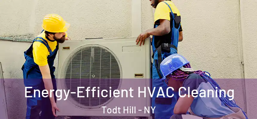 Energy-Efficient HVAC Cleaning Todt Hill - NY