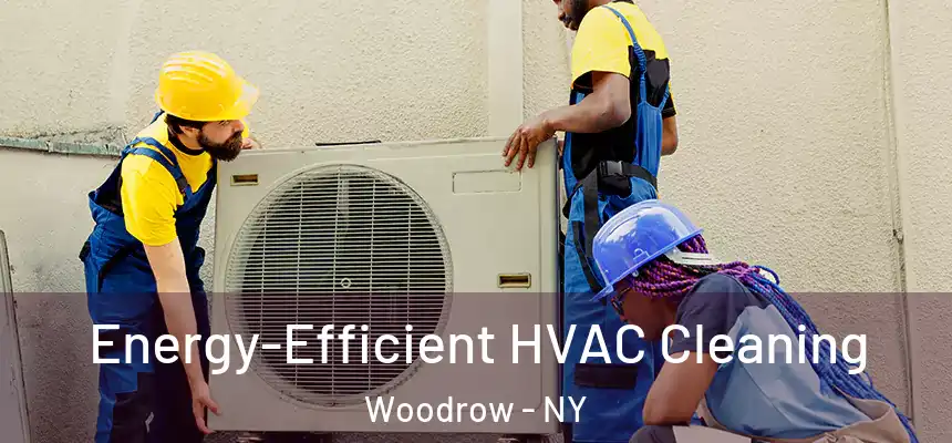 Energy-Efficient HVAC Cleaning Woodrow - NY