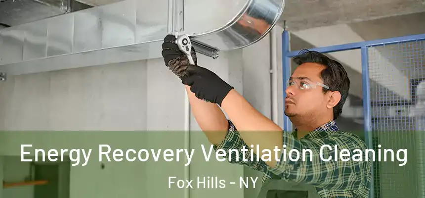 Energy Recovery Ventilation Cleaning Fox Hills - NY