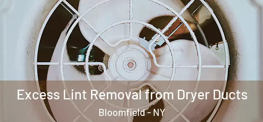 Excess Lint Removal from Dryer Ducts Bloomfield - NY