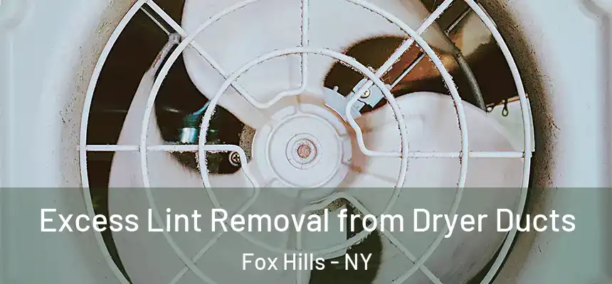 Excess Lint Removal from Dryer Ducts Fox Hills - NY