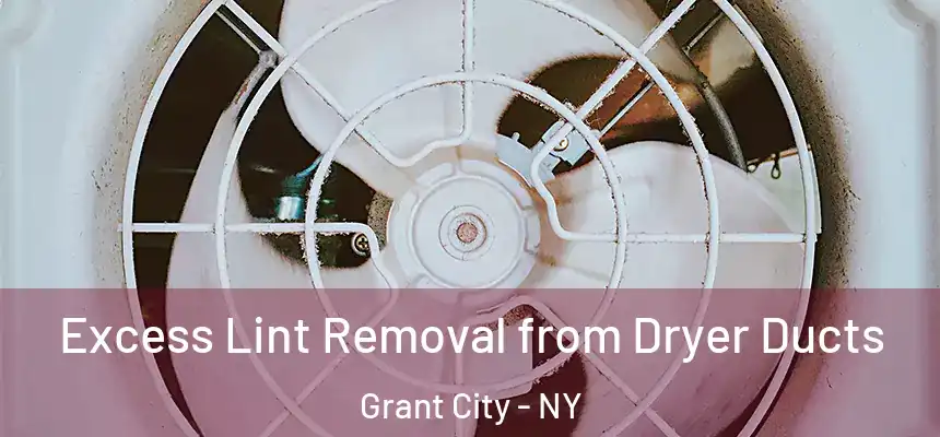 Excess Lint Removal from Dryer Ducts Grant City - NY