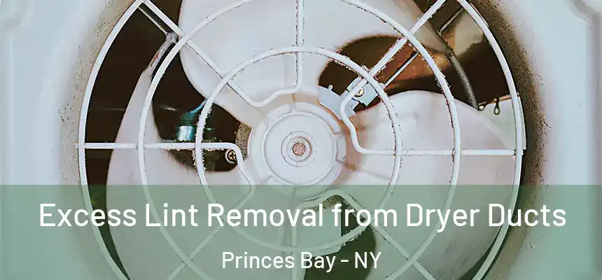 Excess Lint Removal from Dryer Ducts Princes Bay - NY