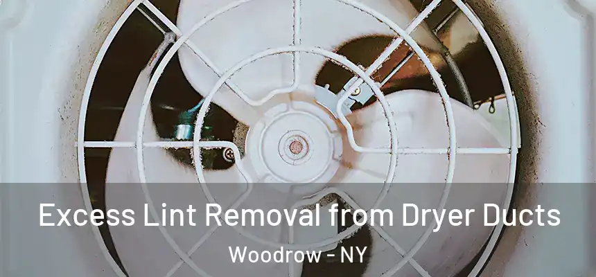 Excess Lint Removal from Dryer Ducts Woodrow - NY