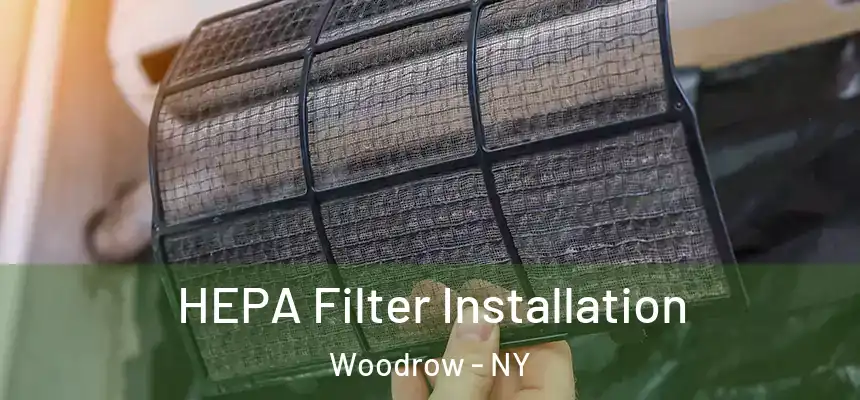  HEPA Filter Installation Woodrow - NY