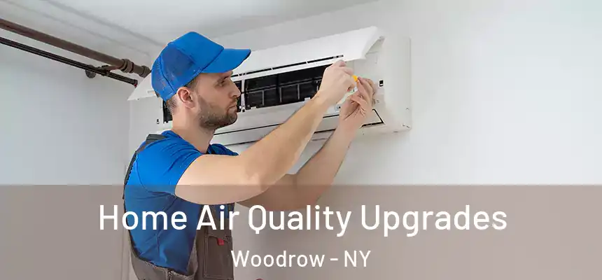 Home Air Quality Upgrades Woodrow - NY