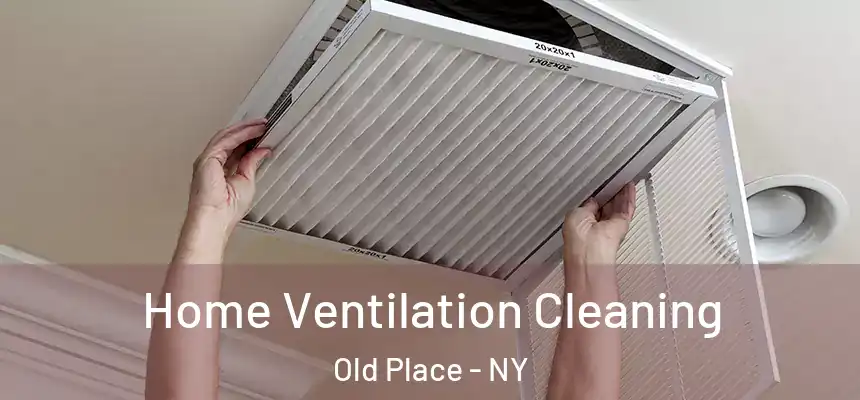 Home Ventilation Cleaning Old Place - NY