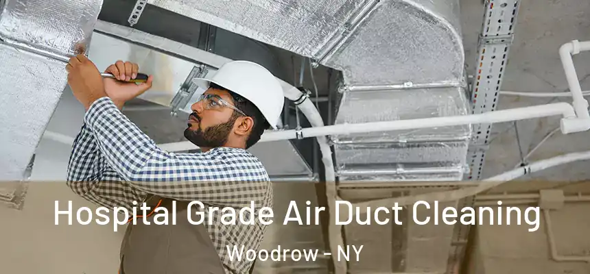 Hospital Grade Air Duct Cleaning Woodrow - NY