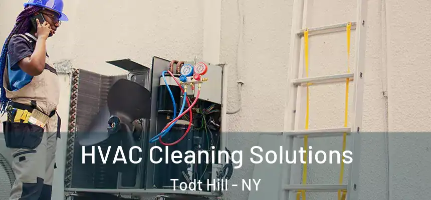  HVAC Cleaning Solutions Todt Hill - NY