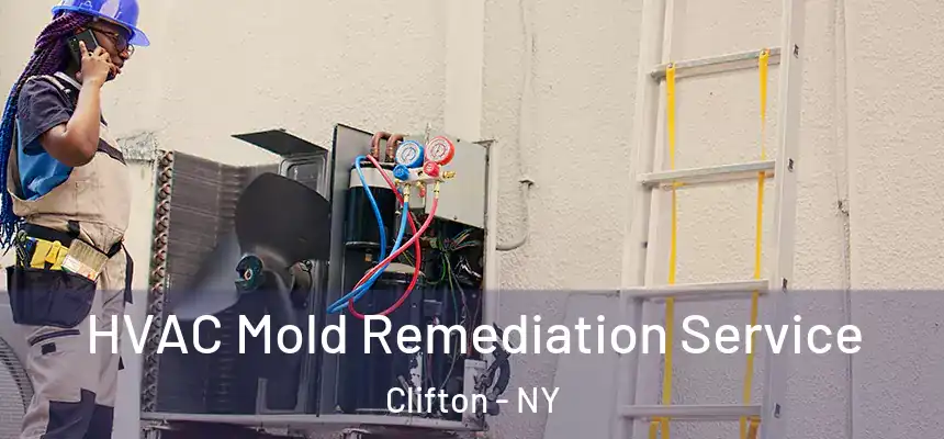  HVAC Mold Remediation Service Clifton - NY