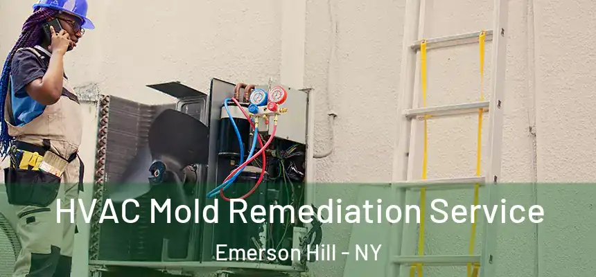  HVAC Mold Remediation Service Emerson Hill - NY