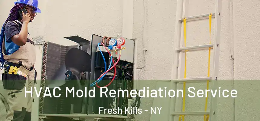  HVAC Mold Remediation Service Fresh Kills - NY