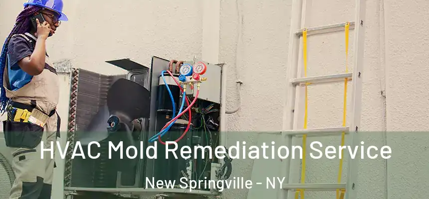  HVAC Mold Remediation Service New Springville - NY