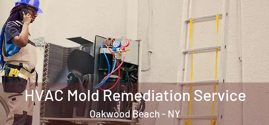  HVAC Mold Remediation Service Oakwood Beach - NY